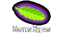 Sonstiges