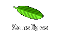 Sonstiges